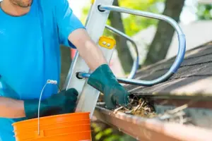 Tallahassee Gutter Cleaning